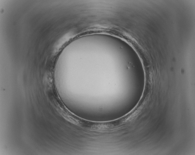 X0000078841355200611201303