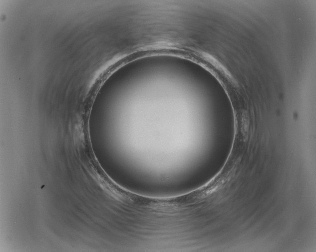 X0000078841356200611201303