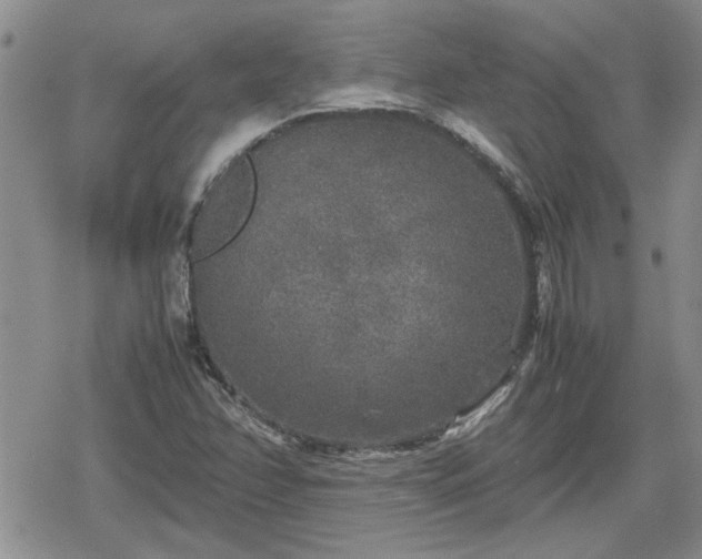 X0000078841358200611201303