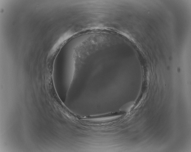 X0000078841359200611201303