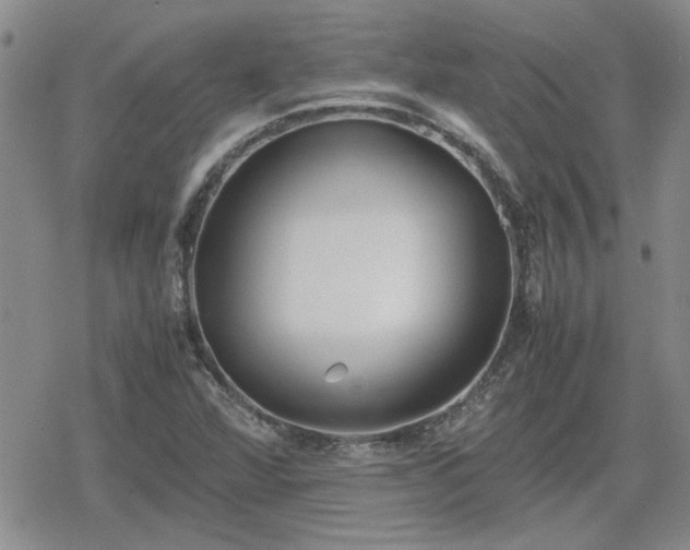 X0000078841360200611201303