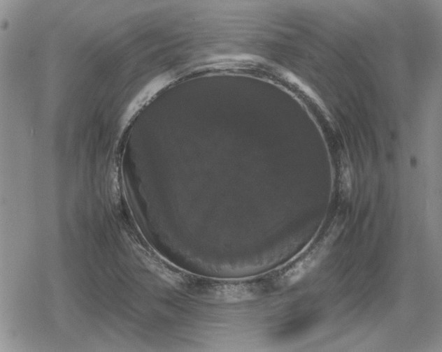 X0000078841362200611201303