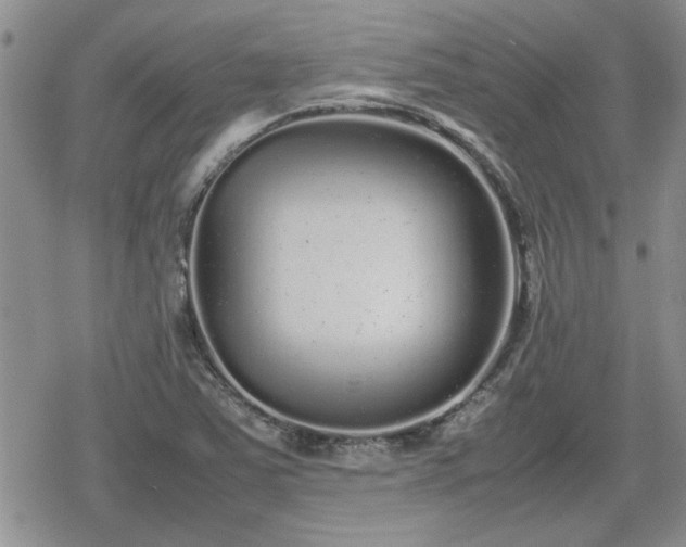 X0000078841363200611201302