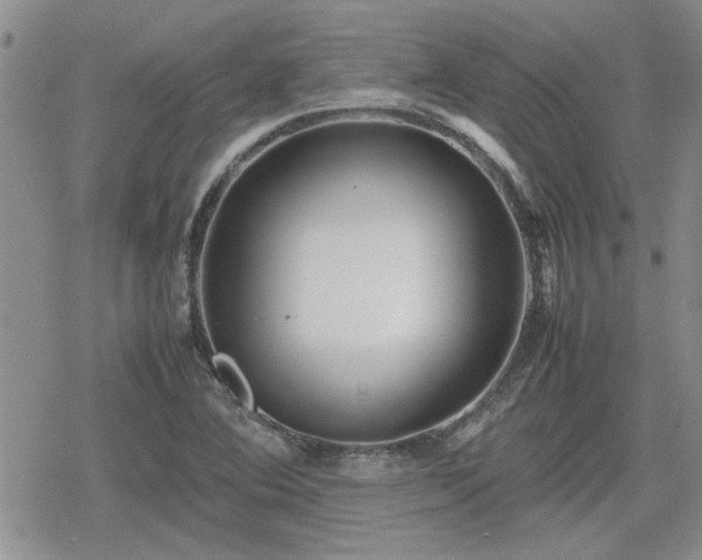 X0000078841364200611201302