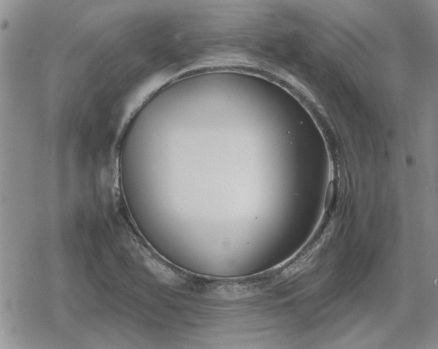 X0000078841366200611201302