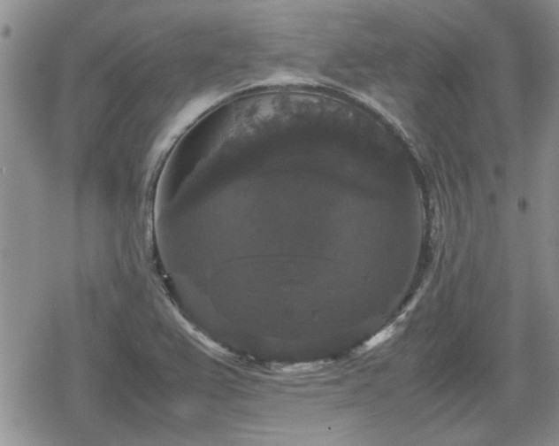 X0000078841367200611201302