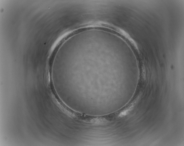 X0000078841368200611201302