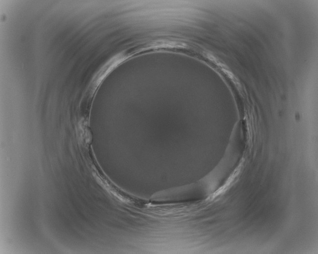 X0000078841369200611201302