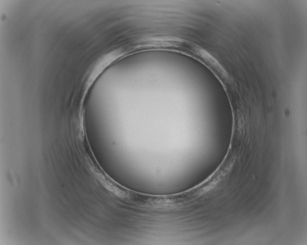 X0000078841370200611201302