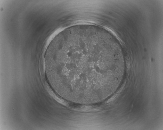 X0000078841371200611201302