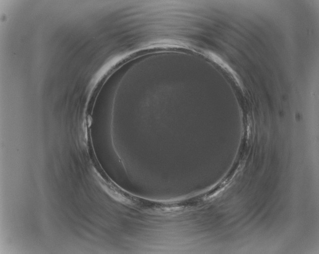 X0000078841372200611201302