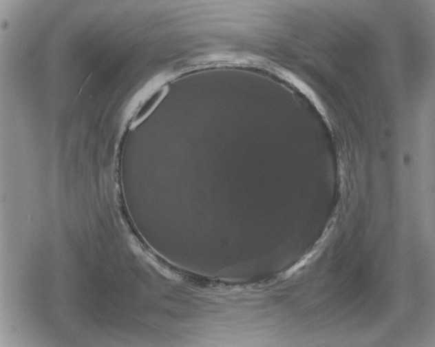 X0000078841373200611201302