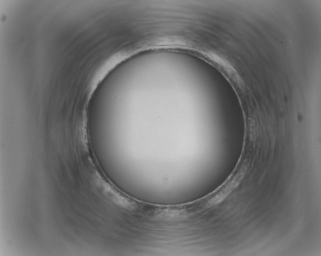 X0000078841374200611201302