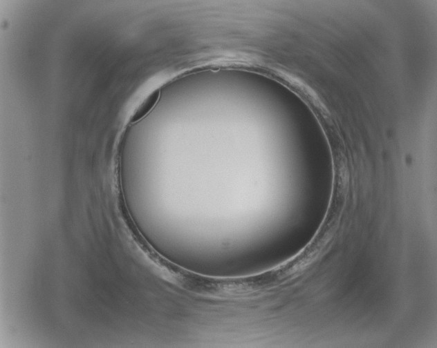 X0000078841375200611201302