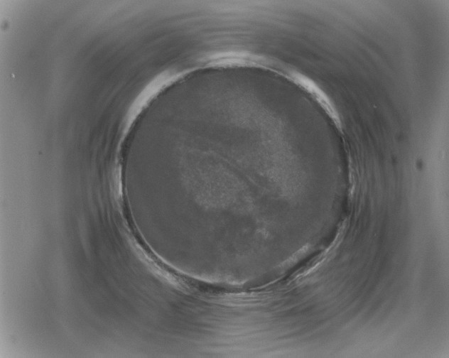 X0000078841376200611201302