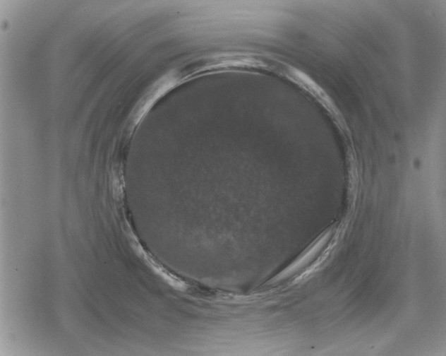 X0000078841377200611201302