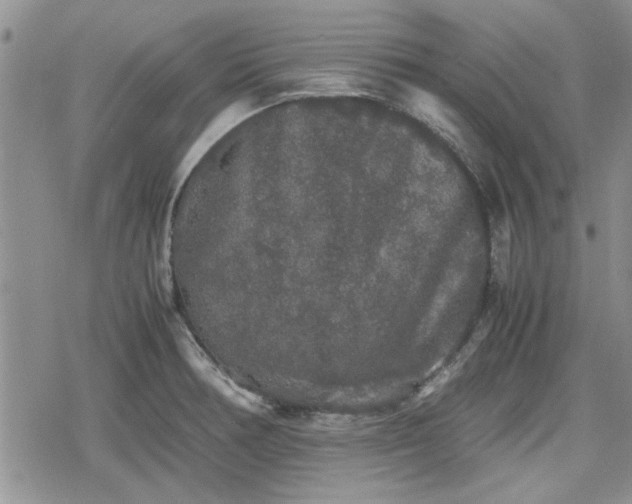 X0000078841378200611201302