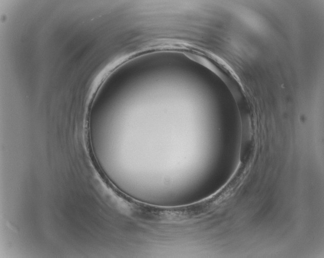 X0000078841379200611201302