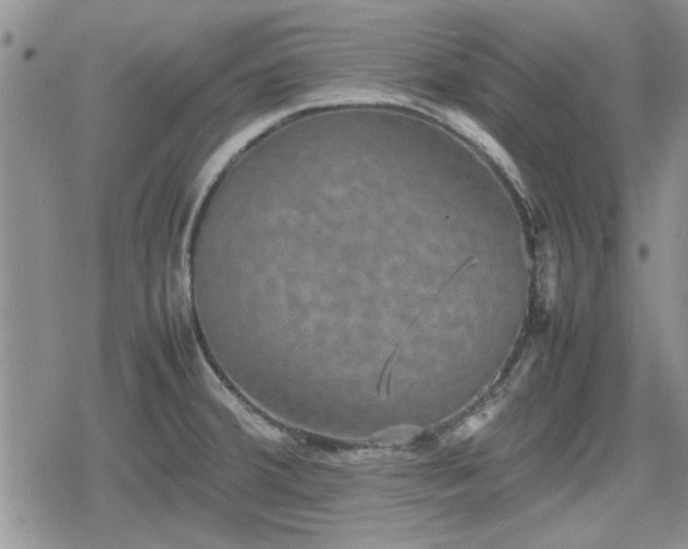 X0000078841380200611201302