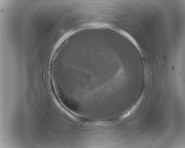 X0000078841381200611201302