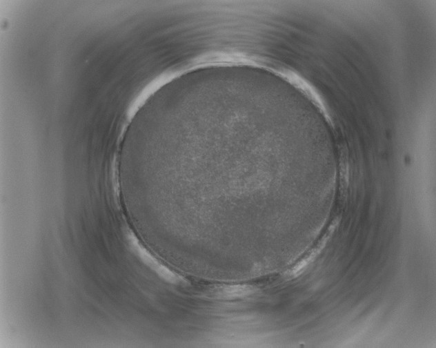 X0000078841382200611201302