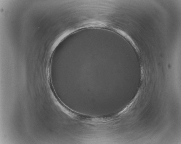 X0000078841383200611201302