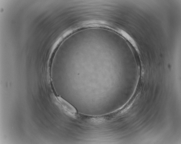 X0000078841384200611201302