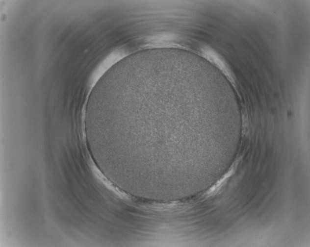 X0000078841386200611201302