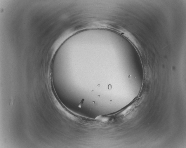 X0000078841387200611201302