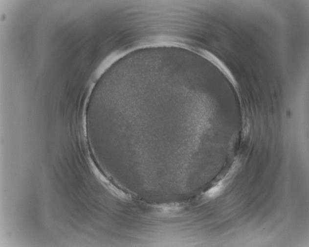 X0000078841388200611201302