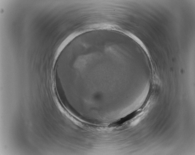 X0000078841389200611201302