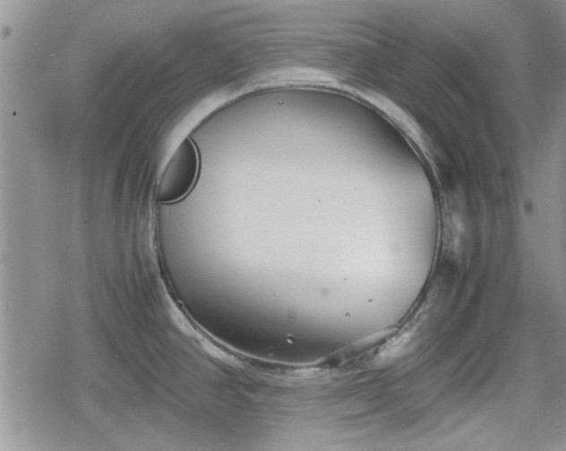 X0000078841390200611201302