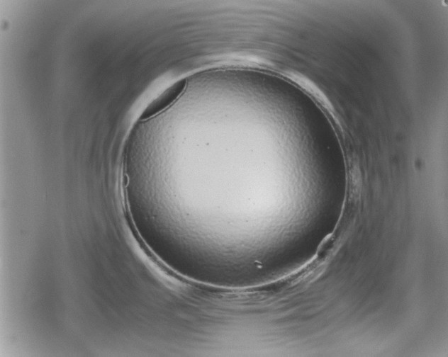 X0000078841391200611201302