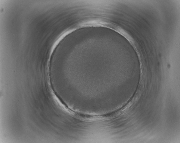 X0000078841392200611201302