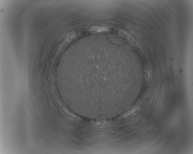 X0000078841393200611201301