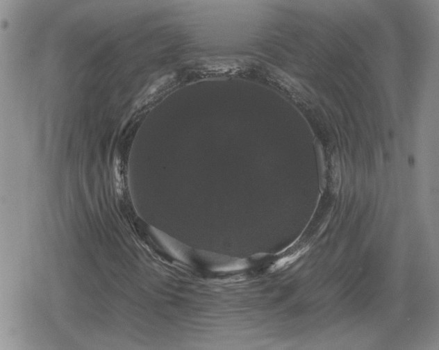 X0000078841394200611201301