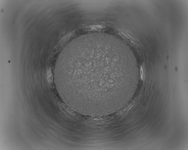 X0000078841395200611201301