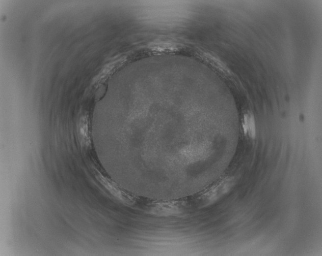 X0000078841396200611201301