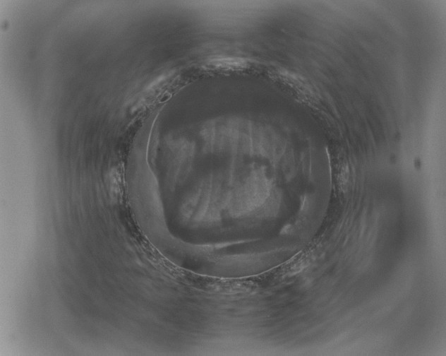 X0000078841397200611201301