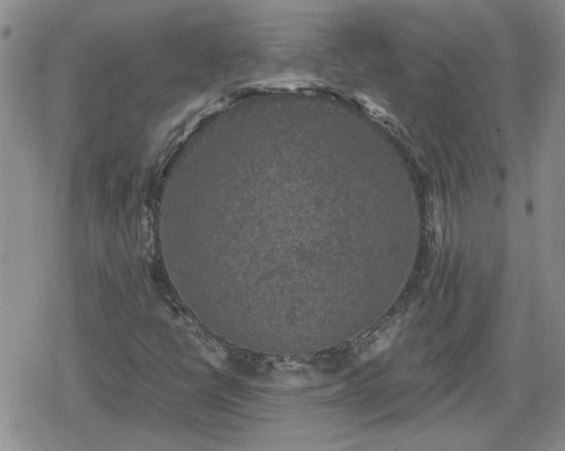 X0000078841398200611201301