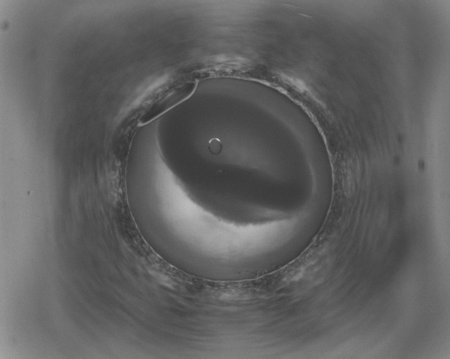 X0000078841399200611201301