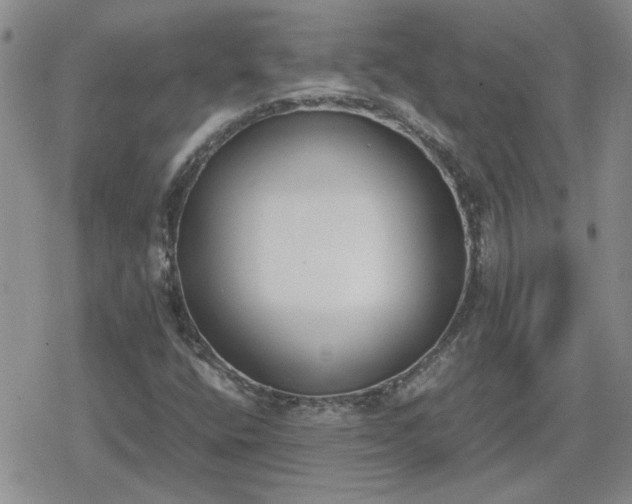 X0000078841400200611201301