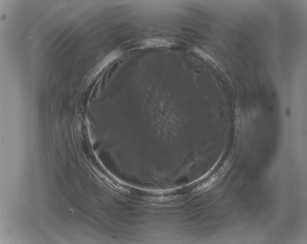 X0000078841401200611201301