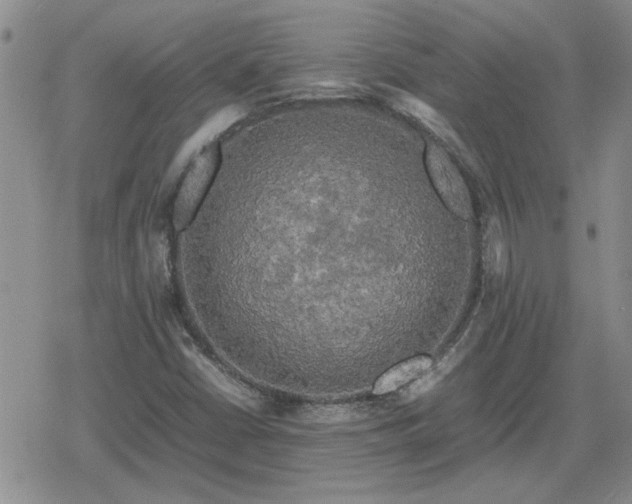 X0000078841402200611201301