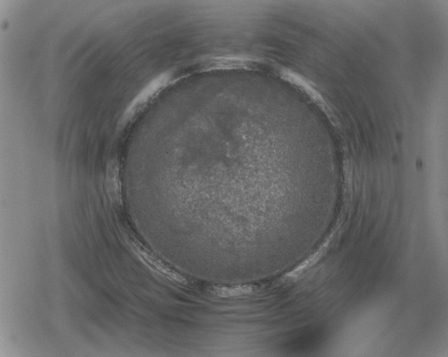 X0000078841403200611201301