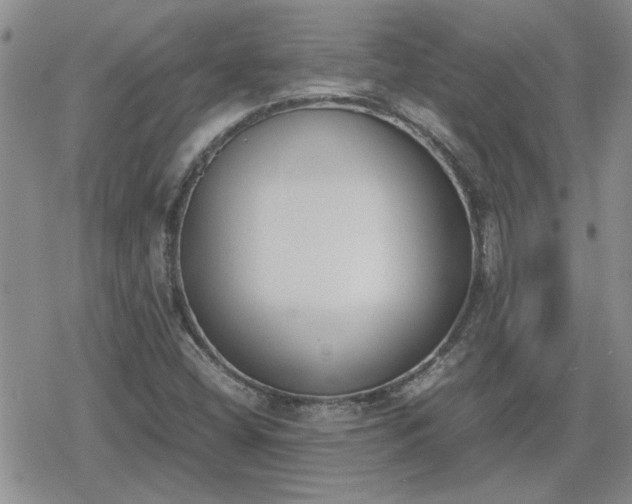 X0000078841404200611201301