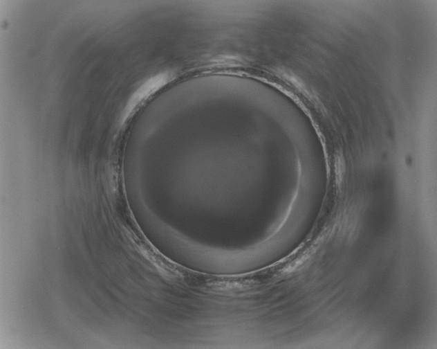 X0000078841405200611201301