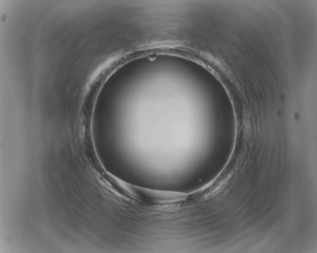 X0000078841406200611201301