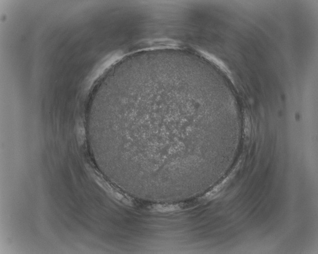 X0000078841407200611201301