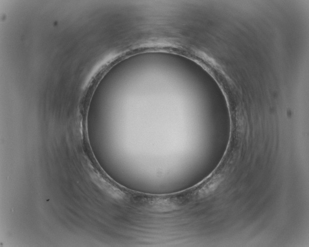 X0000078841408200611201301